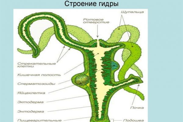 Как зайти на кракен